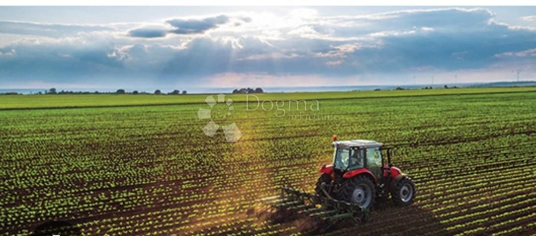 Fotografija