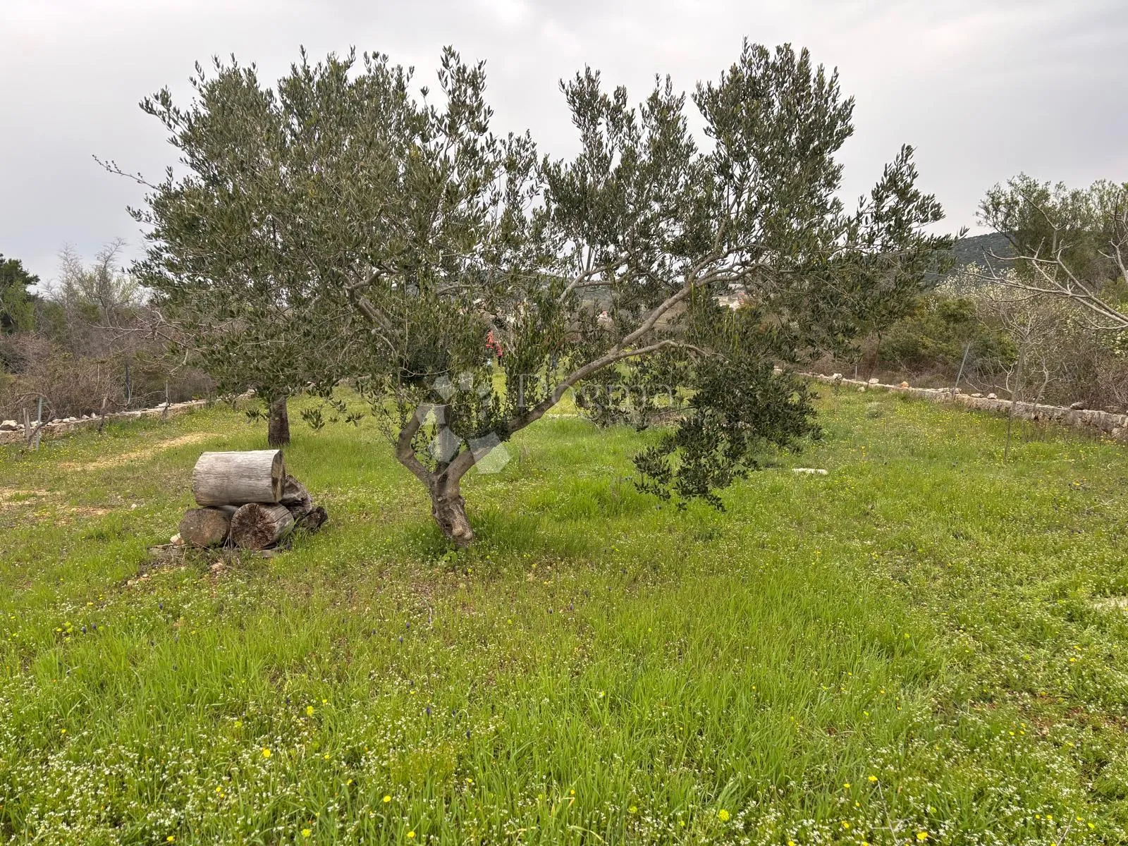 Građevinsko zemljište u Gaćelezima - cover