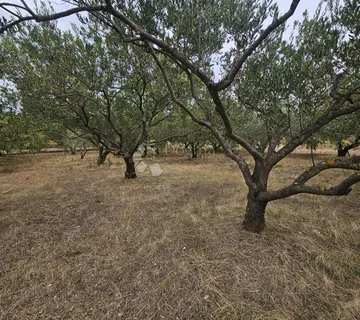 Poljoprivredno zemjište s pogledom na more u Kaštel Štafiliću!  - cover