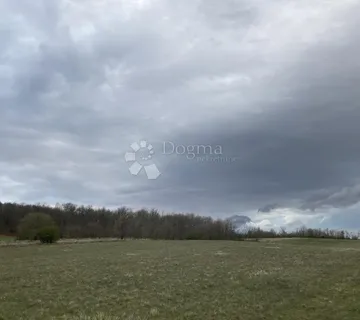 BUJE OKOLICA, ŠUMA  - cover