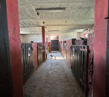 Savršeno imanje za jahače i ljubitelje prirode - cover