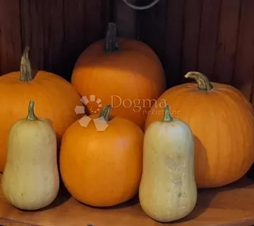 GRAĐEVINSKI TEREN NA KAROLINSKOJ CESTI - cover