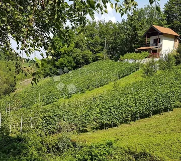 Klijet / vikendica nadomak Vinskom Vrhu sa 2.277m² izuzetno vinorodnog zemljišta - cover