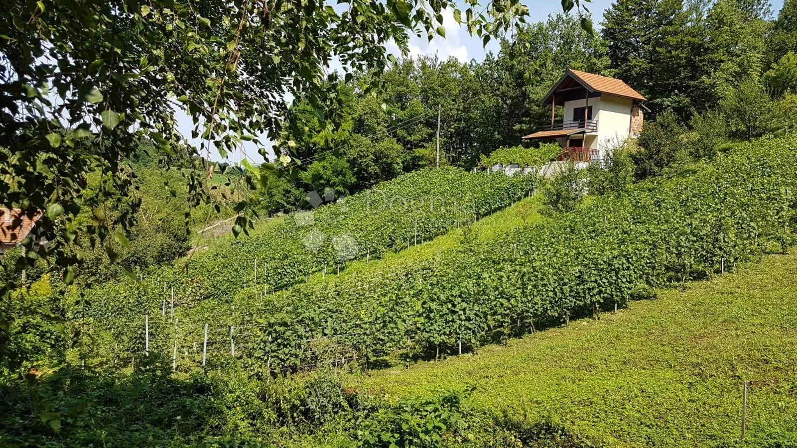 Fotografija