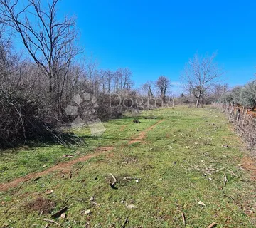 Umag,prilika,  poljoprivredna parcela na 3 km od mora - cover