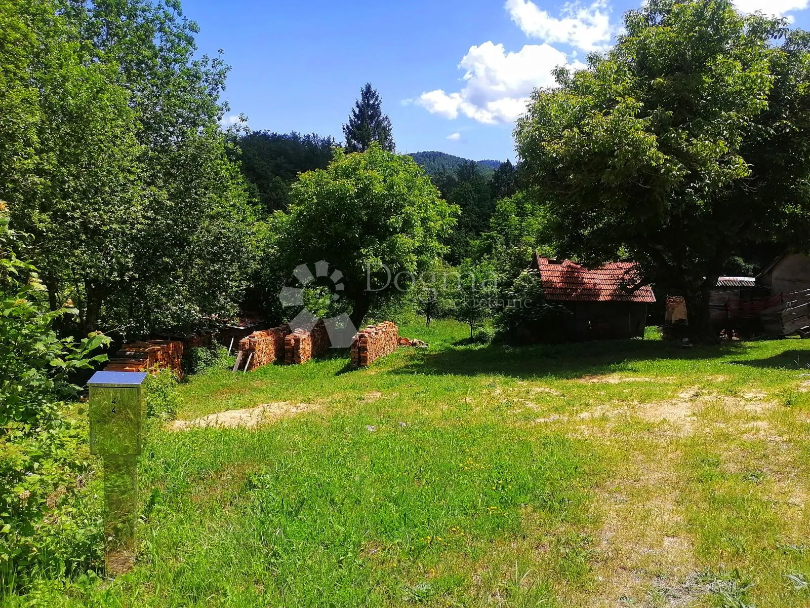 Fotografija