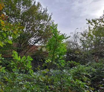 Ruševina, sjenik, osama - cover