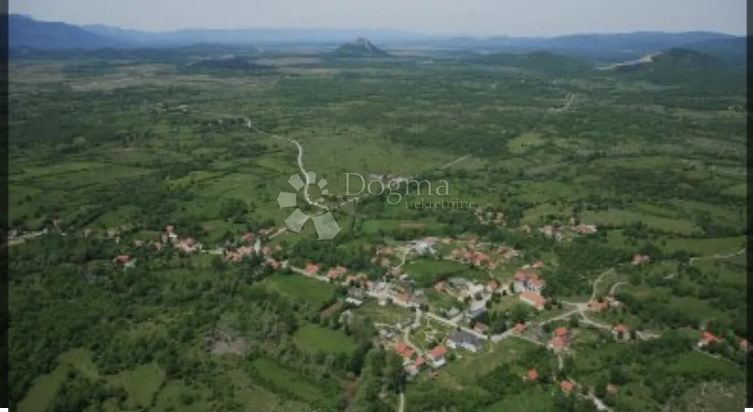 Fotografija