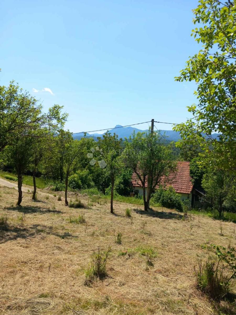 Fotografija