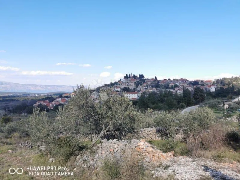 Poljoprivredno zemljište Hvar-Jelsa 9500m2 - cover