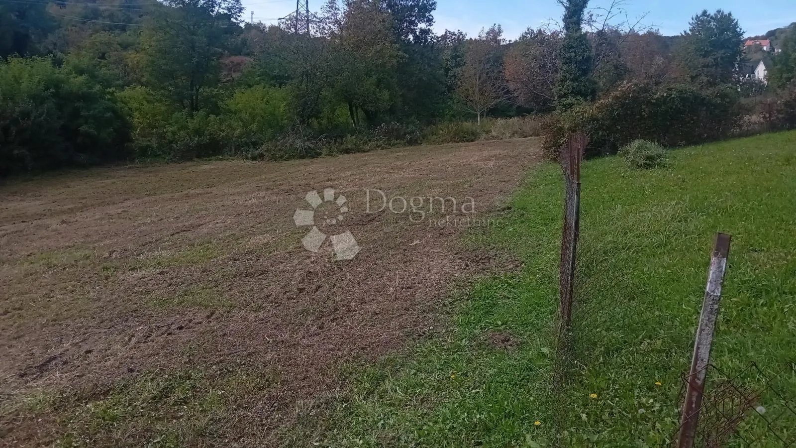 Fotografija