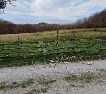 Posjed s bunarom i dosta šume - cover