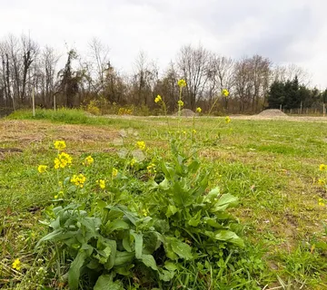 Prilika u Međimurju: pripremljeno zemljište za gradnju - cover