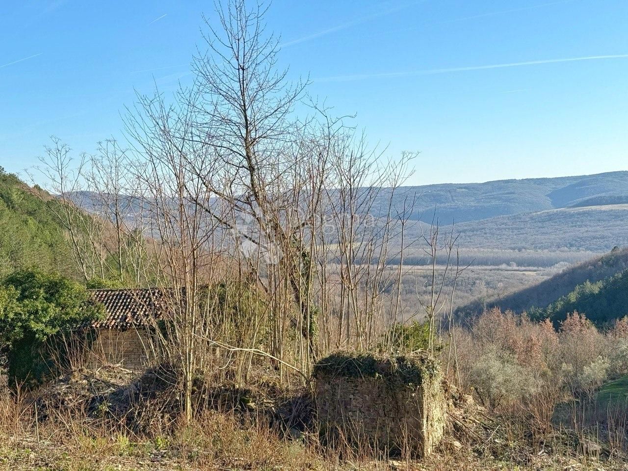 Fotografija