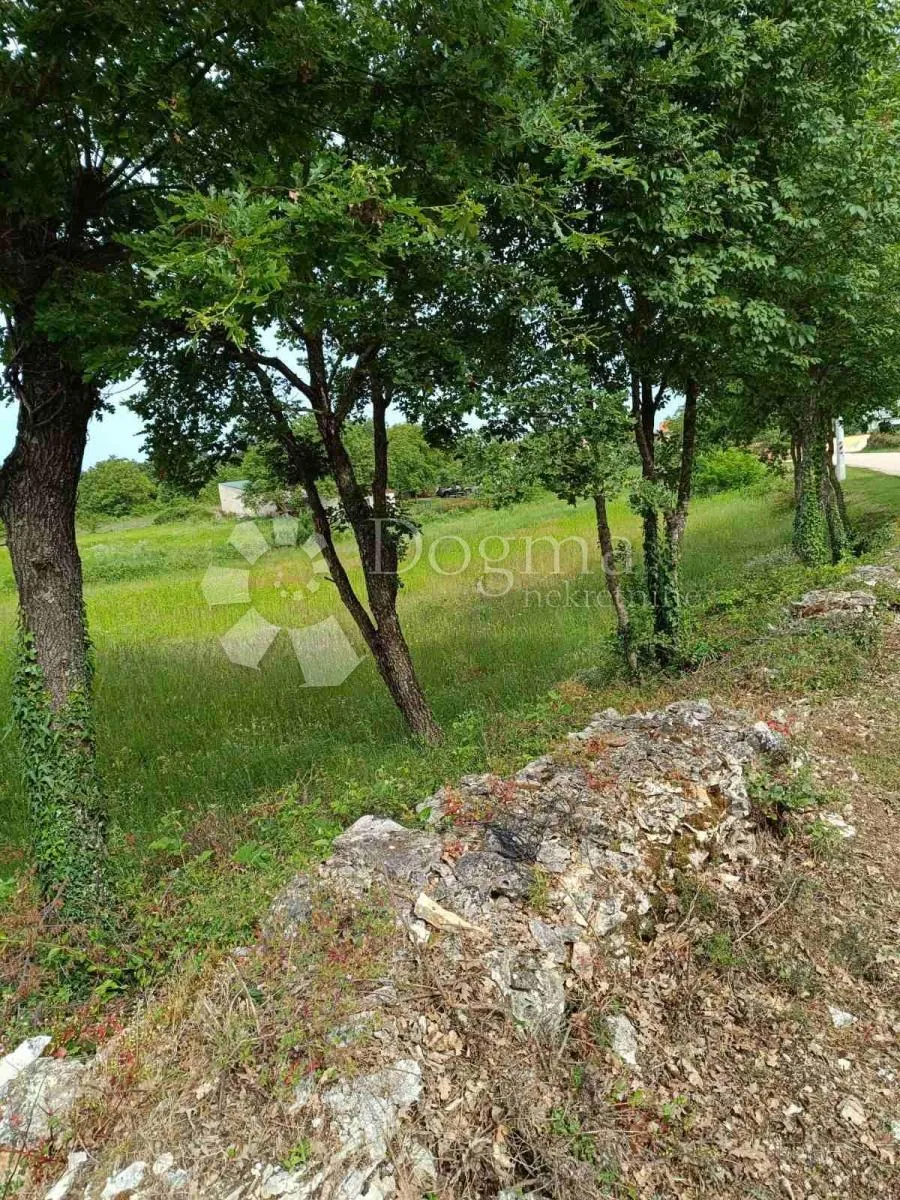 Fotografija