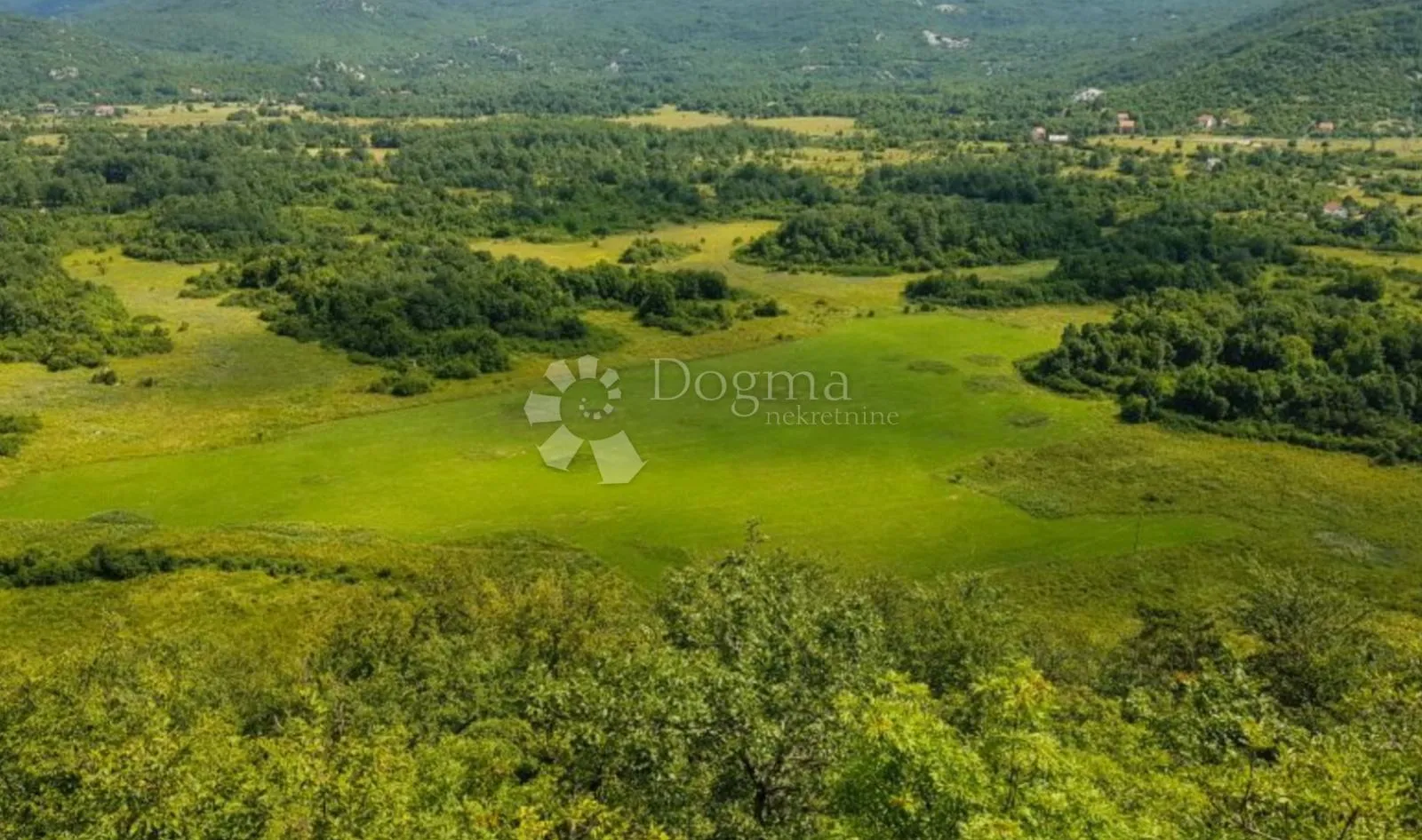 Fotografija