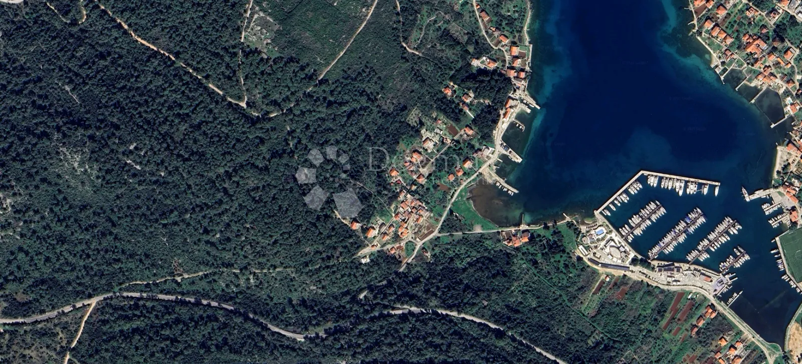 Fotografija