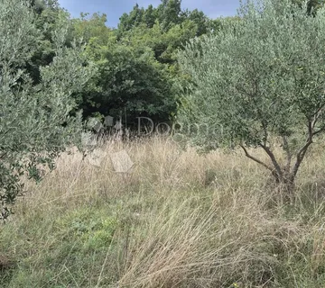 Prodaja poljoprivrednog zemljišta - Kavran 1288 m2 - cover