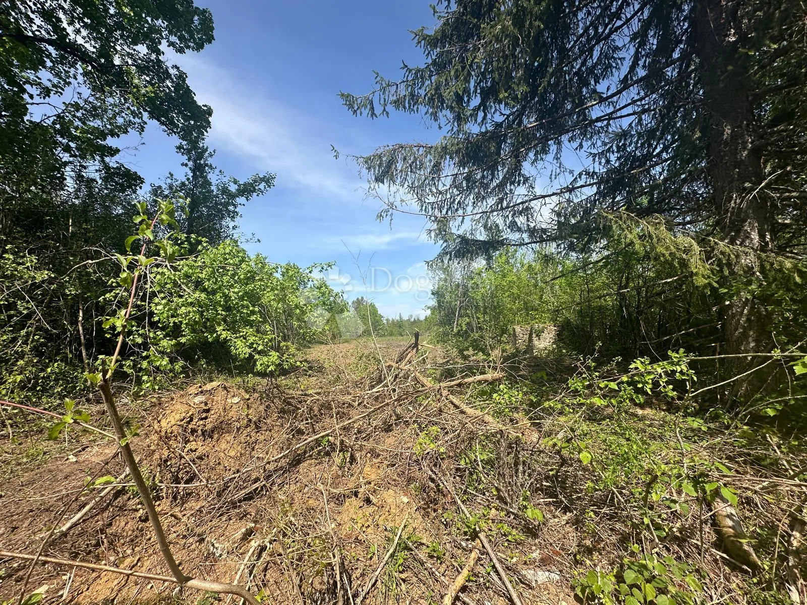 POLJOPRIVREDNO ZEMLJIŠZE DIVOSELO - cover