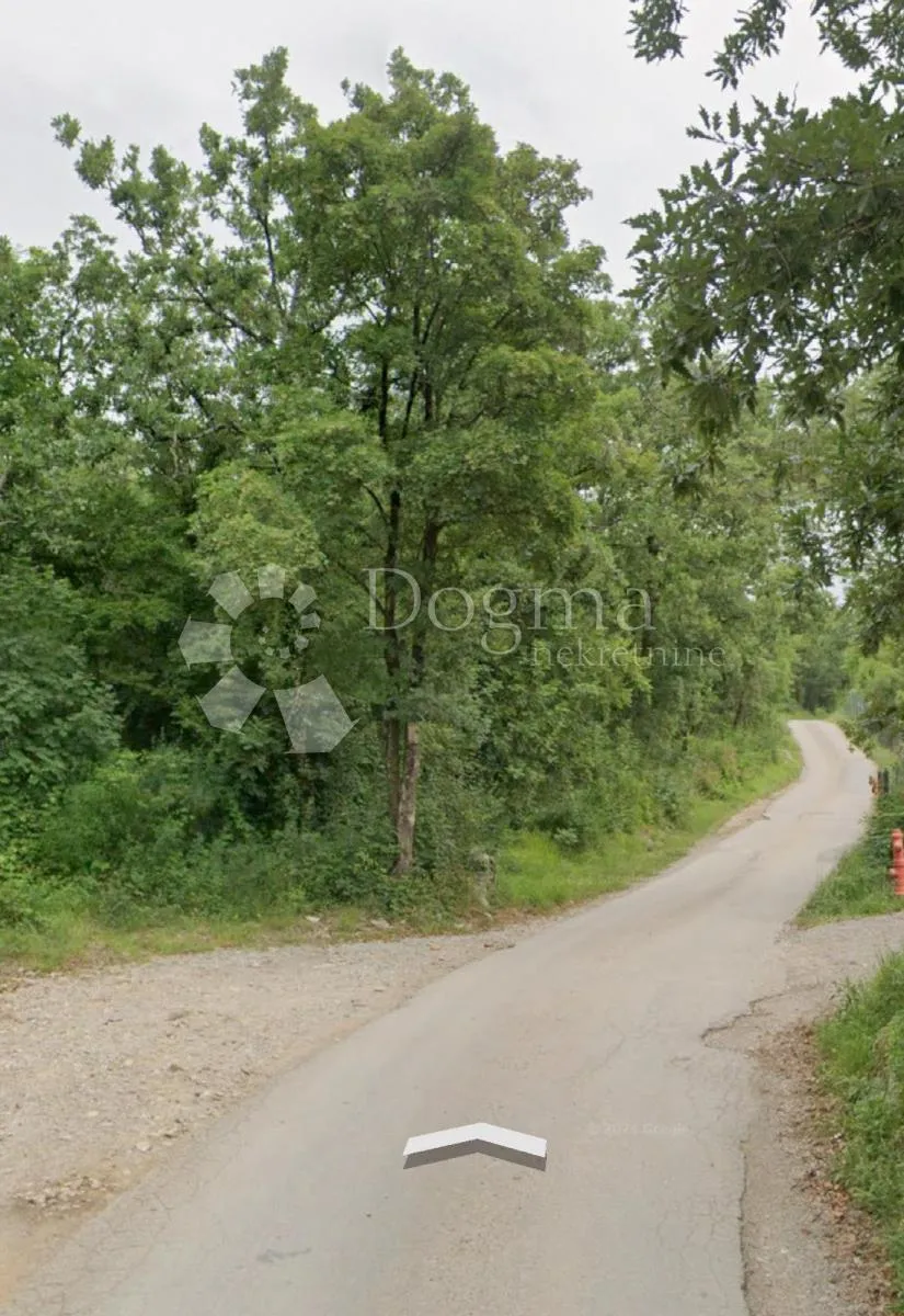 Fotografija