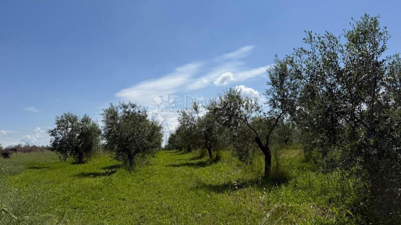 Fotografija