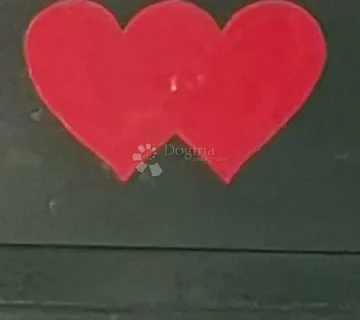 MJESTO ZA DVOJE - cover