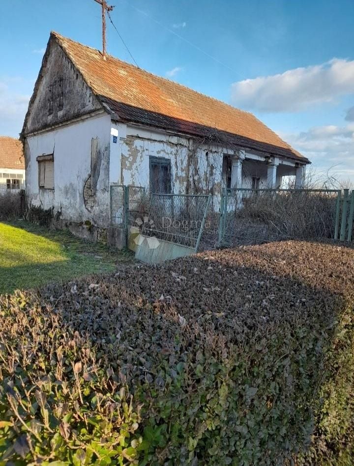 Fotografija