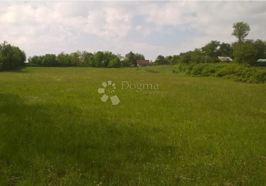 Fotografija