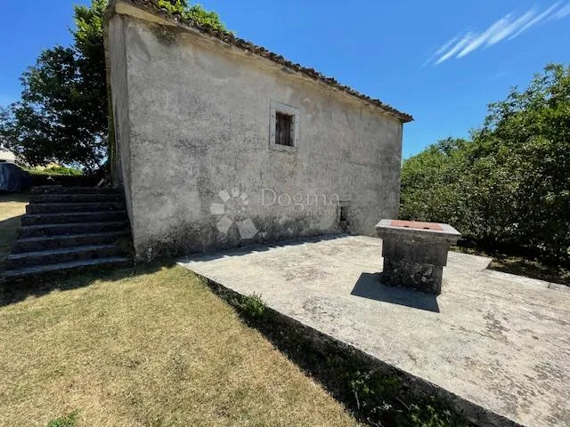 Fotografija