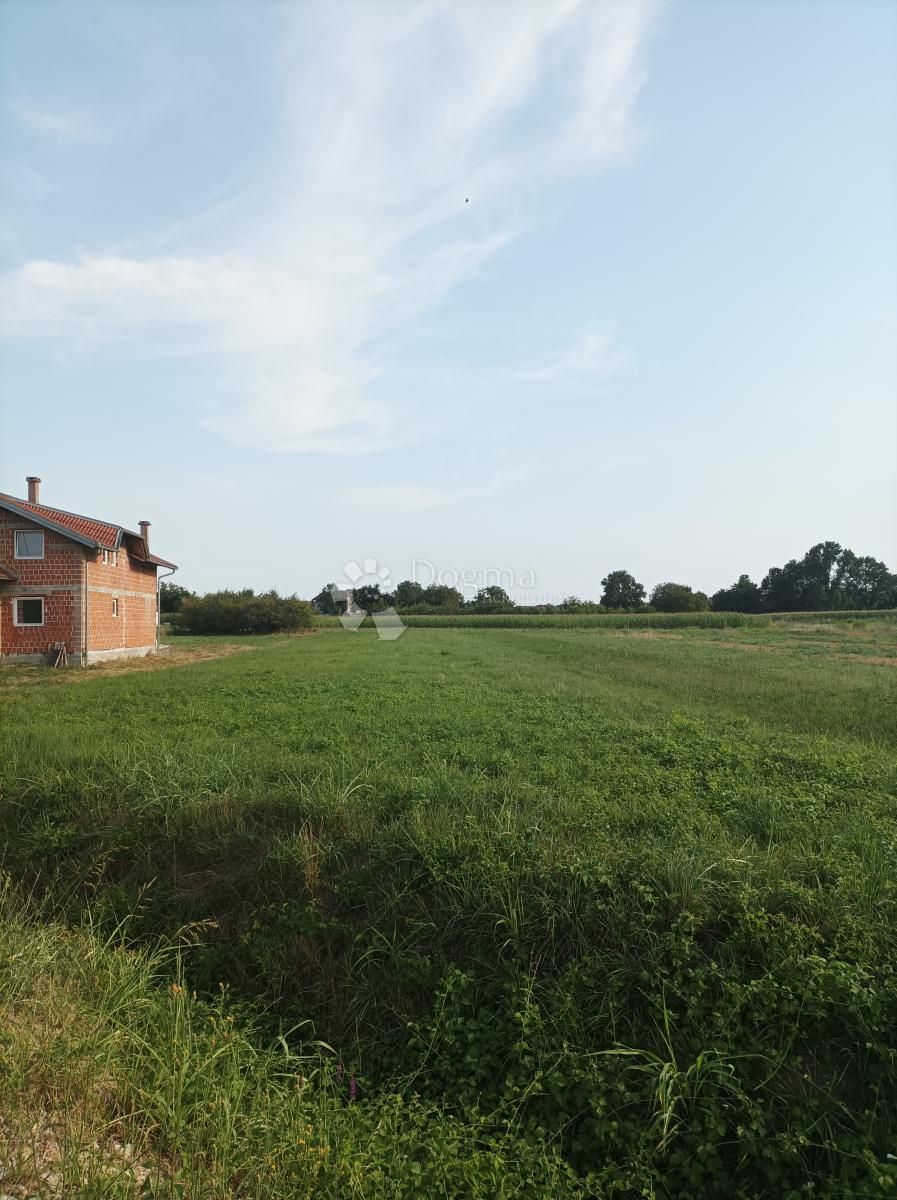 Fotografija