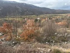 Fotografija