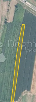 Fotografija