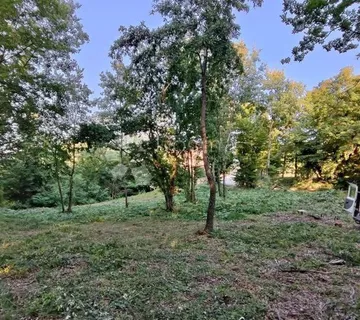 Građevinsko zemljiste Pazin 1209m2 - cover