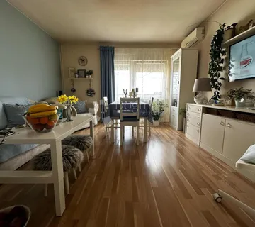 Obiteljska kuća sa potencijalom  - cover
