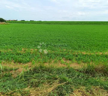 INVESTICIJSKA PRILIKA! Građevinsko zemljište 8.505 m² u Borovu – idealno za solarne panele! - cover