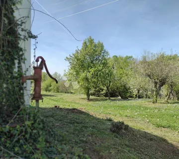 Klet u vikend naselju, voćnjak - cover