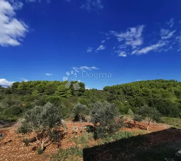 POSLOVNA PRILIKA – Poljoprivredno zemljište samo 800metara udaljeno od mora - cover