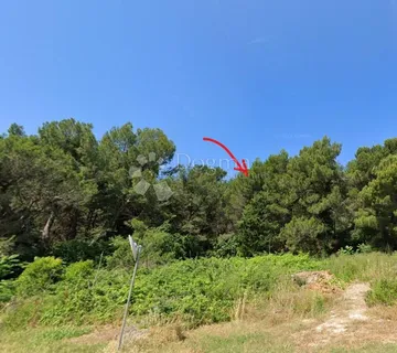 GRAĐ. ZEMLJIŠTE, STOJA - VALSALINE - 300M OD MORA  - cover