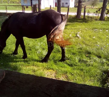 Praktična kućica u ekoselu - cover