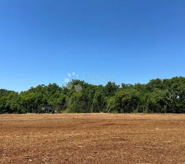 Istra – Muntić | Poljoprivredno zemljište 10.096 m2 - cover