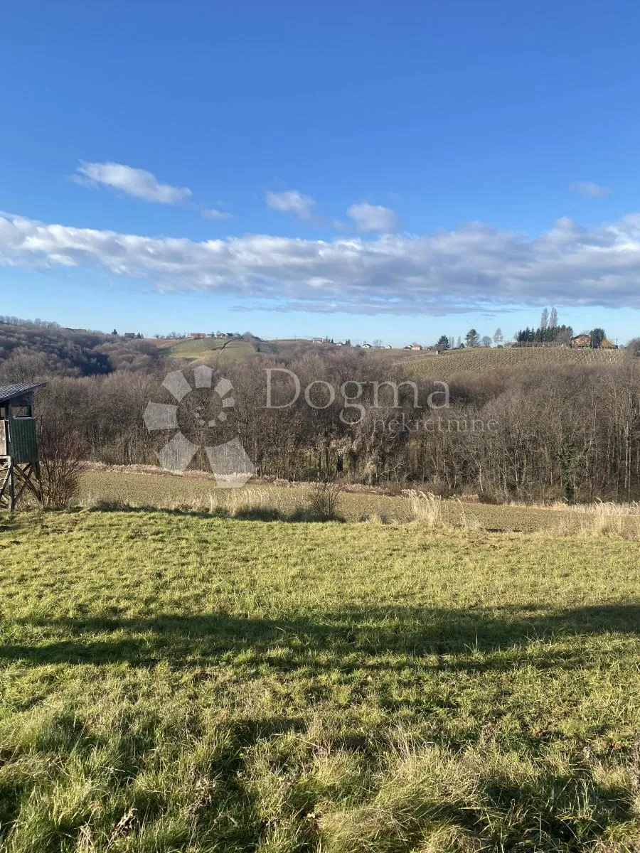 Fotografija