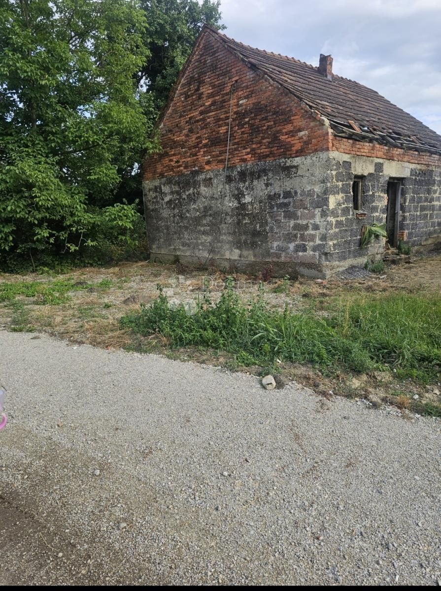 Fotografija