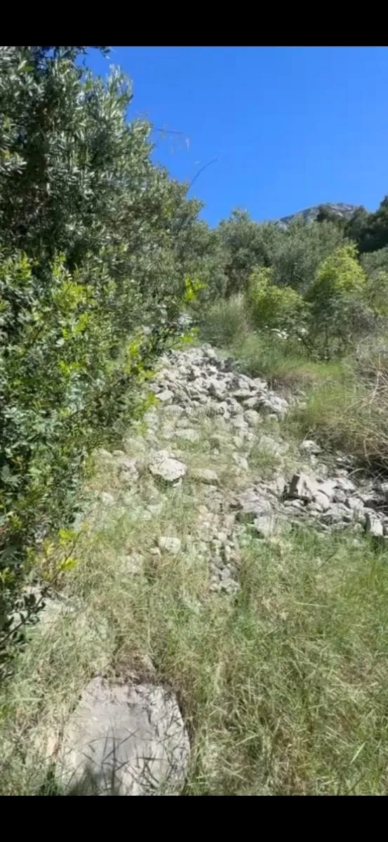 Fotografija