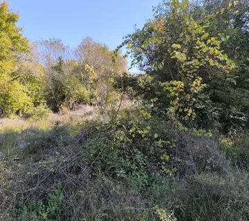 Krk, Dobrinj, poljoprivredno zemljište  - cover