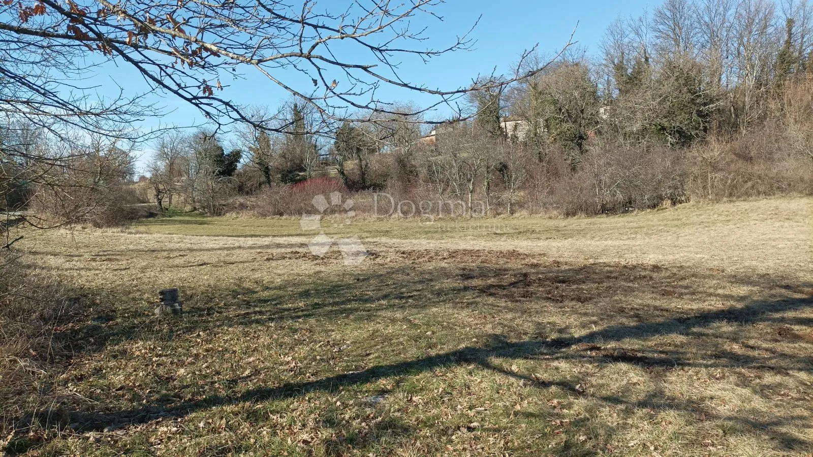 Fotografija
