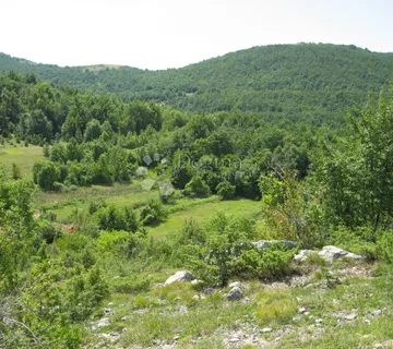 ZEMLJIŠTE SA KUĆOM   - cover