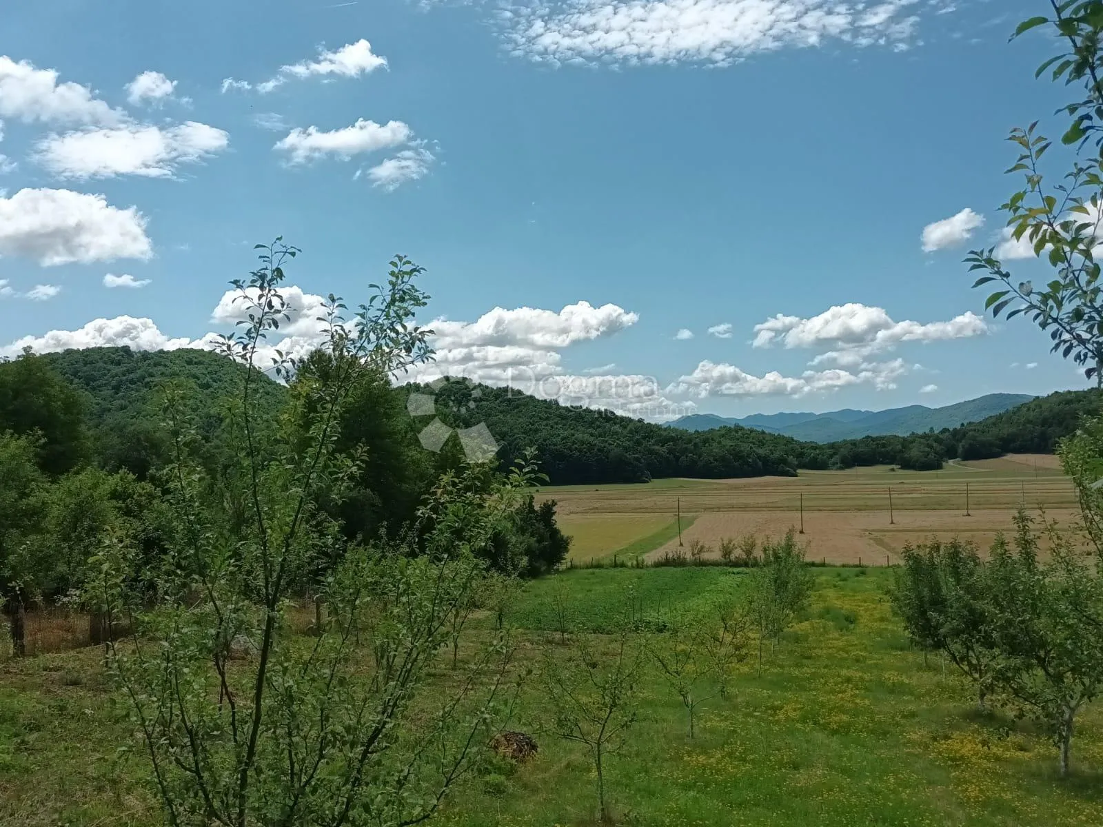 Fotografija