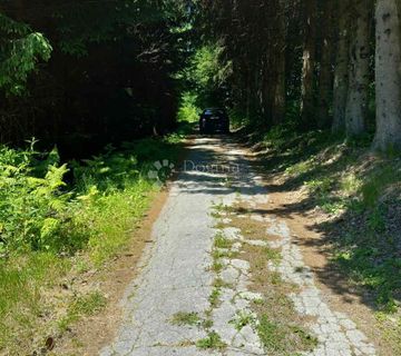 Zemljište u blizini lovišta - cover