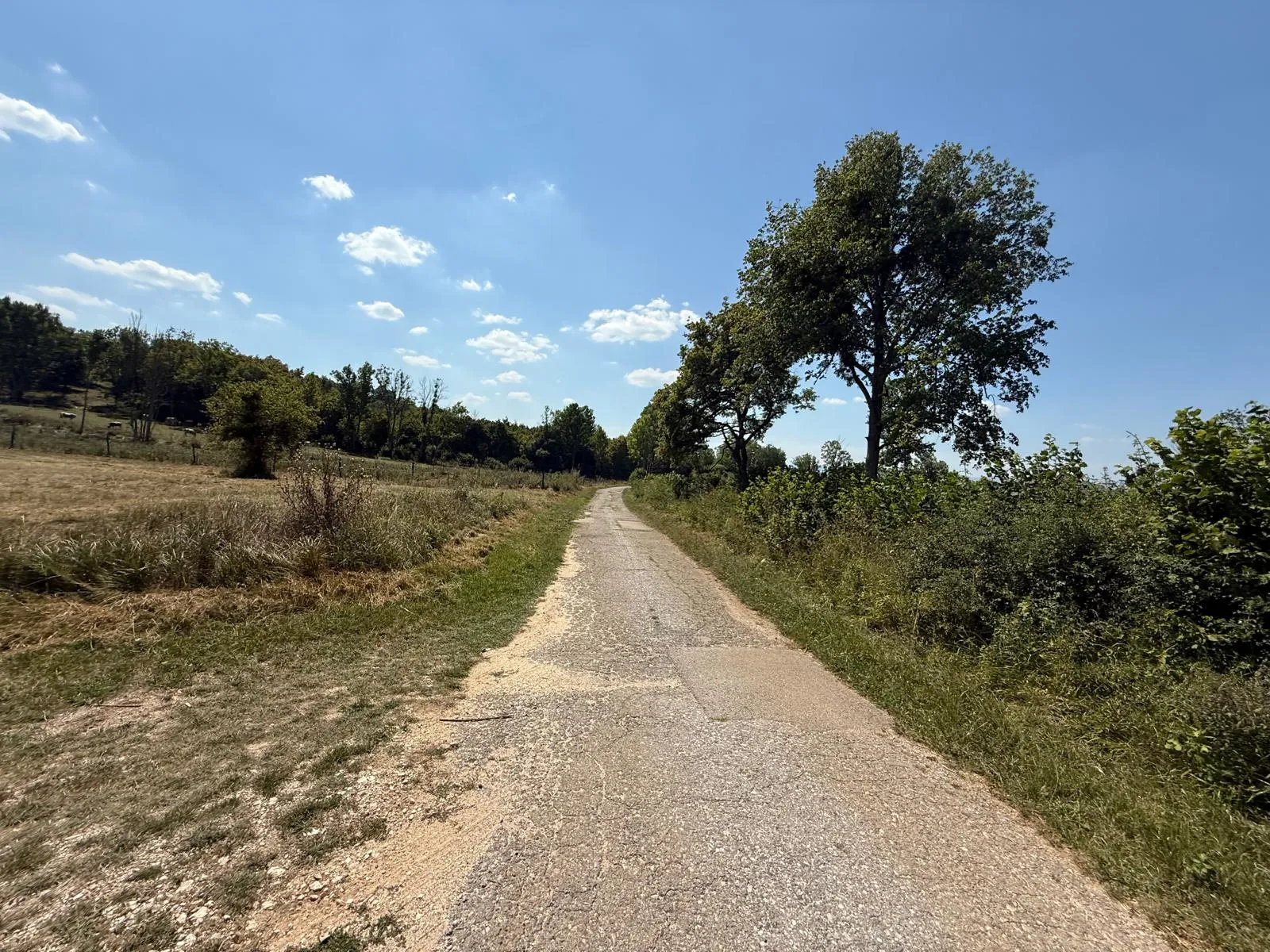 Fotografija