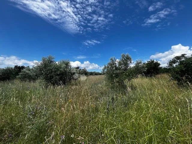 Fotografija